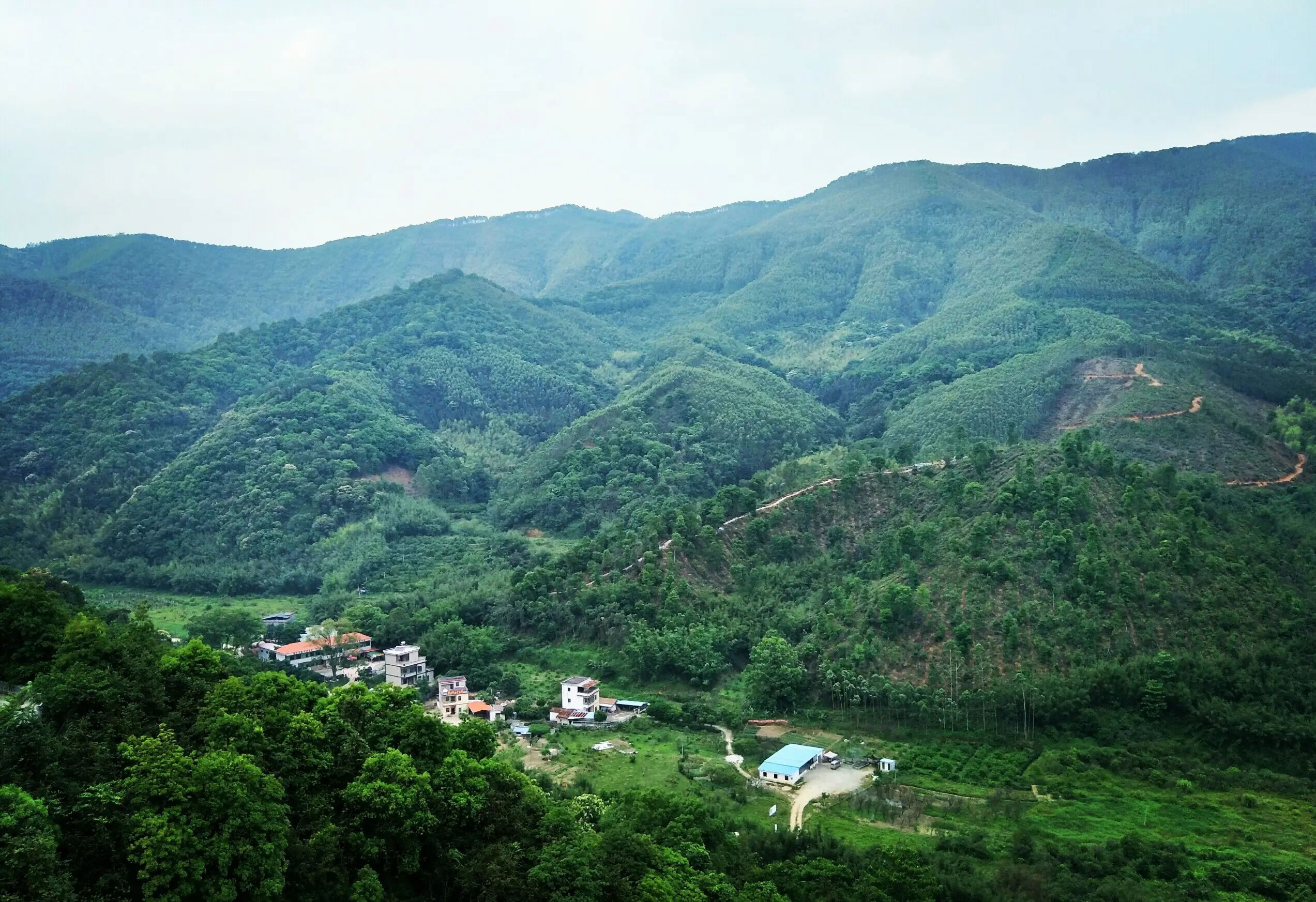 廣東象頭山保護區第二次綜合科學考察工作啟動